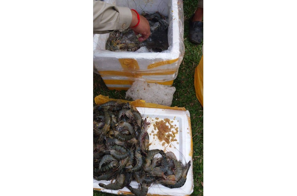 INTERPOL Operation Opson - Authorities in Cambodia recovered potentially dangerous seafood.